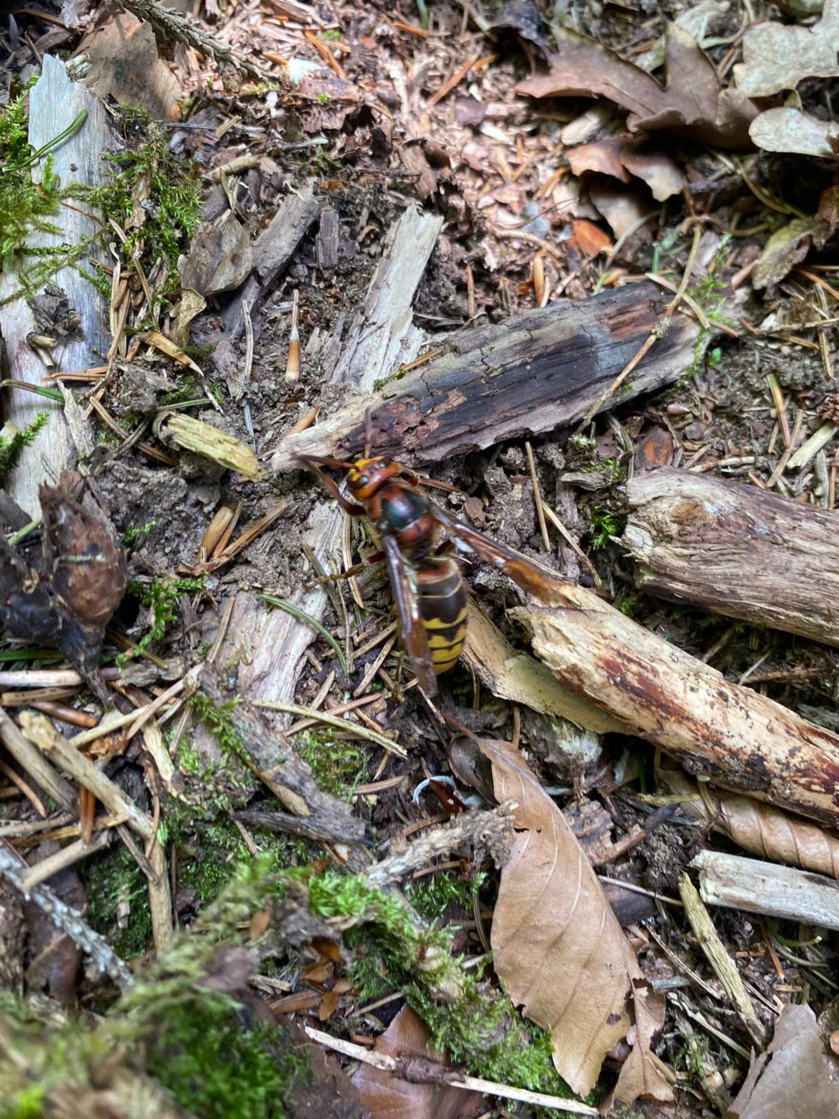 nachhaltige beratung