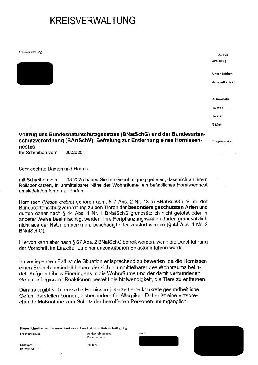 whatsapp image 2025 10 20 at 00.07.27