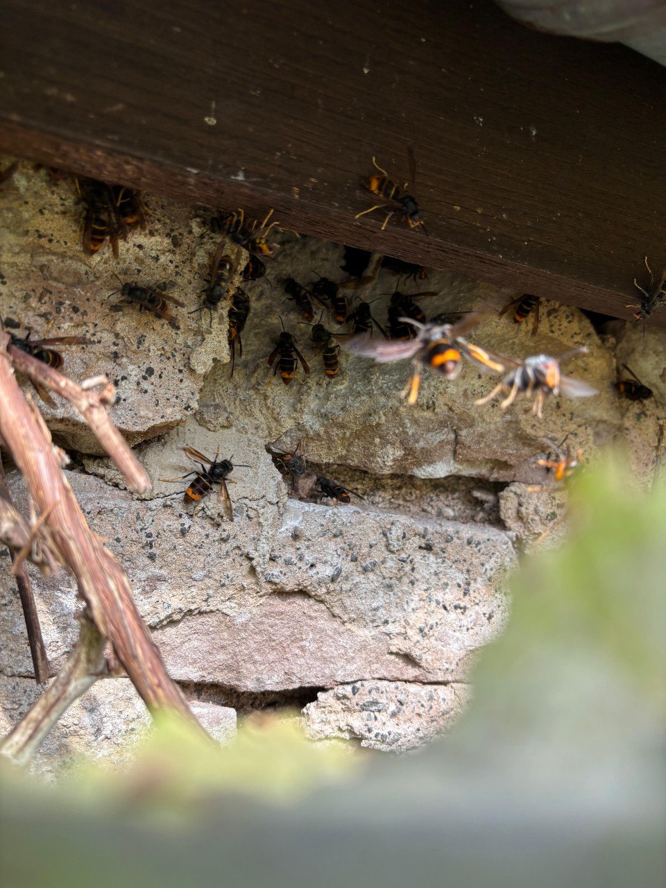 whatsapp image 2025 10 20 at 00.38.26 (3)