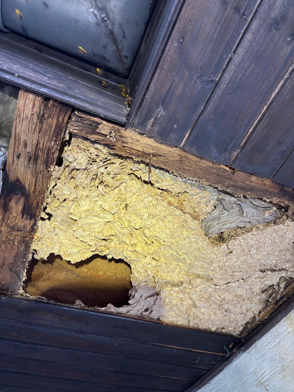 whatsapp image 2025 10 20 at 00.38.26